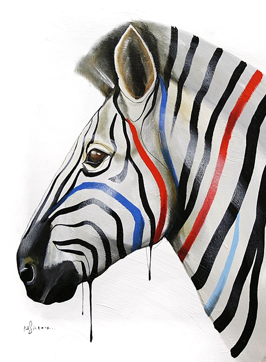 Zebra